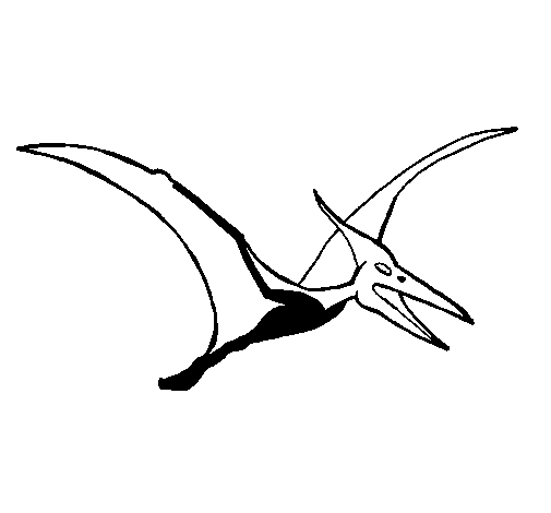 Dibujo de Pterodáctilo para Colorear - Dibujos.net