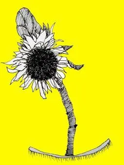 Dibujo Público: 294 Girasol