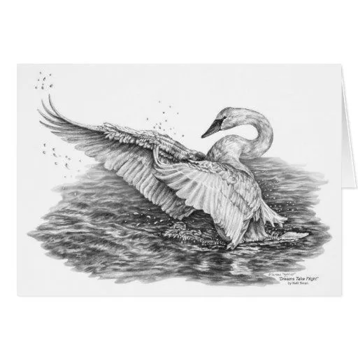 Cisne blanco en el dibujo del agua por el cisne de tarjetón de Zazzle.