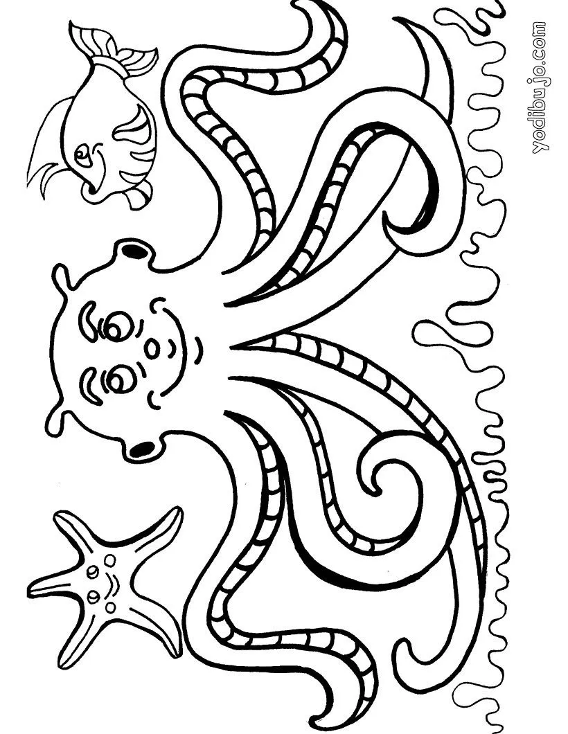  ... de PULPO gratis Dibujo para colorear PULPO Dibujo para pintar PULPO