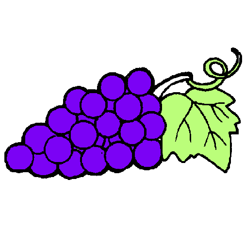 Dibujo de racimo pintado por Uvas en Dibujos.net el día 21-12-10 a ...