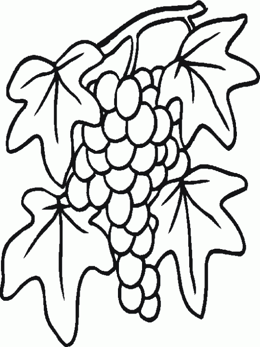 Dibujo de Racimo de uvas para colorear. Dibujos infantiles de ...