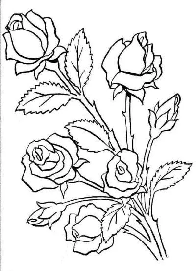 Dibujo de Ramos de rosas. Dibujo para colorear de Ramos de rosas ...