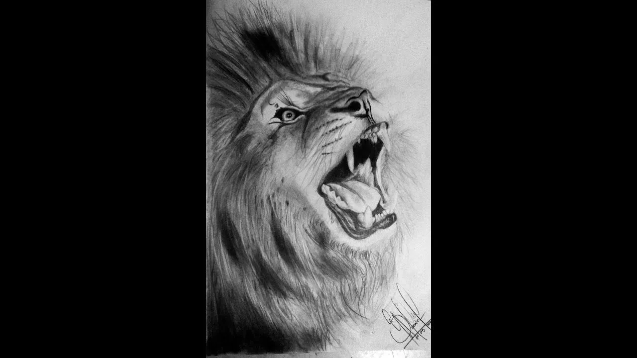 Dibujo Realista león a Lápiz - YouTube