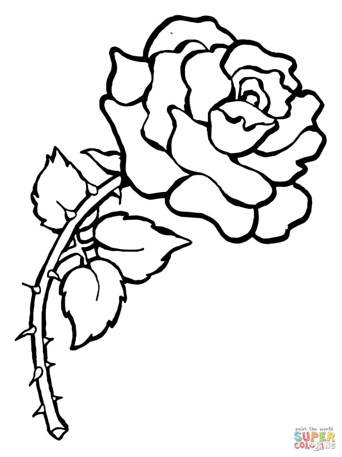 Dibujo de Rosa con Espìnas para colorear | Dibujos para colorear imprimir gratis