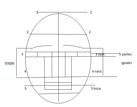 DIBUJO DEL ROSTRO: ESQUEMA BASICO DEL ROSTRO