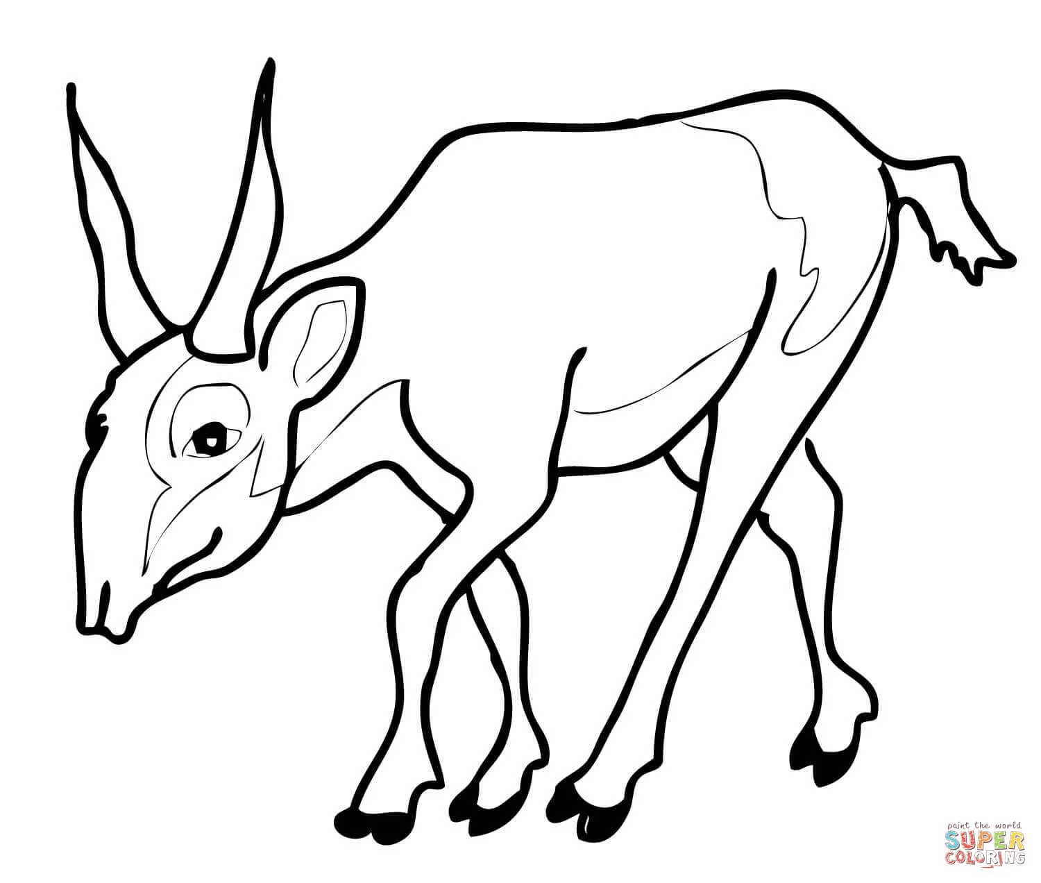 Dibujo de Saiga, Antílope en peligro de Extinción para colorear ...