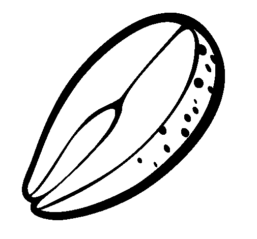 Dibujo de Salmón para Colorear - Dibujos.net