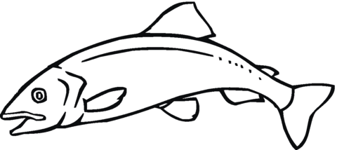 Salmon 11 coloring page | Super Coloring