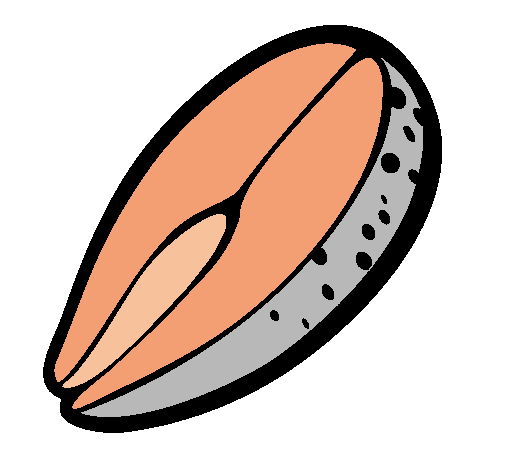 Dibujo de Salmón pintado por 89544744 en Dibujos.net el día 28-04 ...