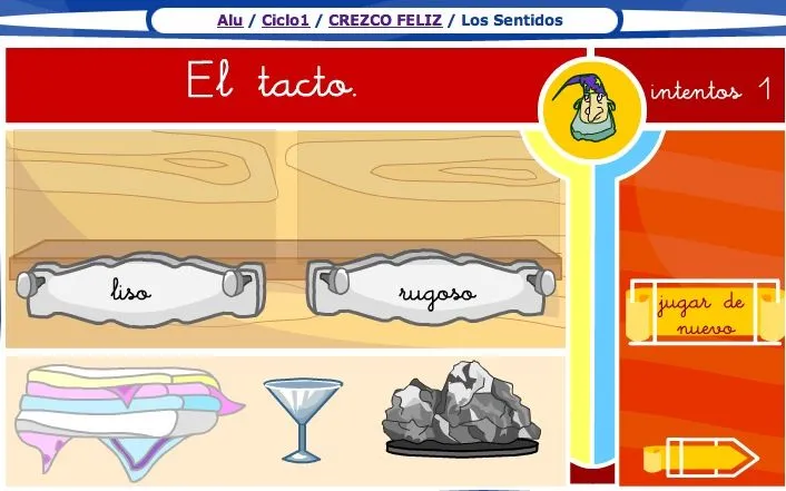 El sentido del tacto | Recurso educativo 35553 - Tiching - Tiching