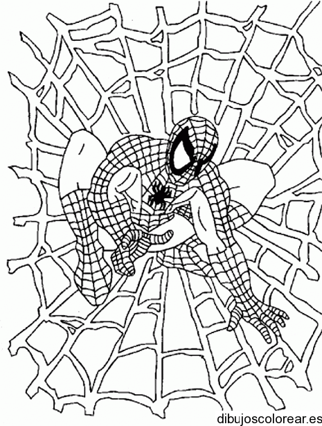 Dibujo de Spiderman y una telaraña | Dibujos para Colorear