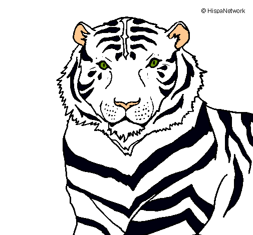 Dibujo de Tigre pintado por blanco en Dibujos.net el día 21-02-11 ...