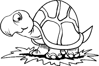 Dibujo tortuga para colorear - Imagui