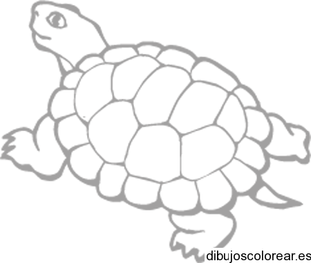 Dibujo de una tortuga | Dibujos para Colorear