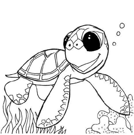 Tortugas marinas animadas para colorear - Imagui
