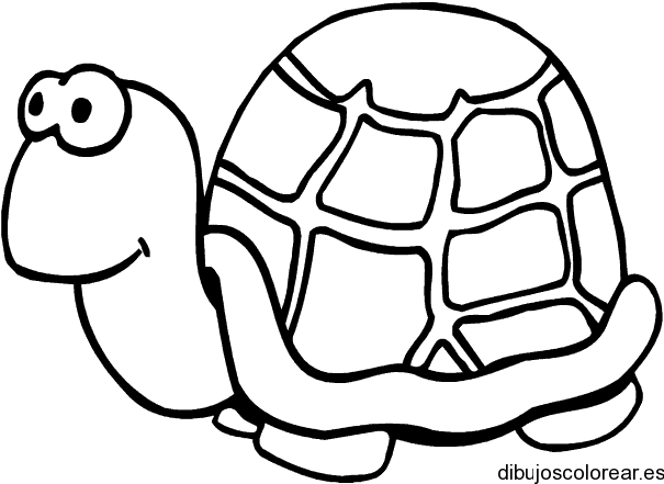 Dibujo de una tortuga sonriendo | Dibujos para Colorear