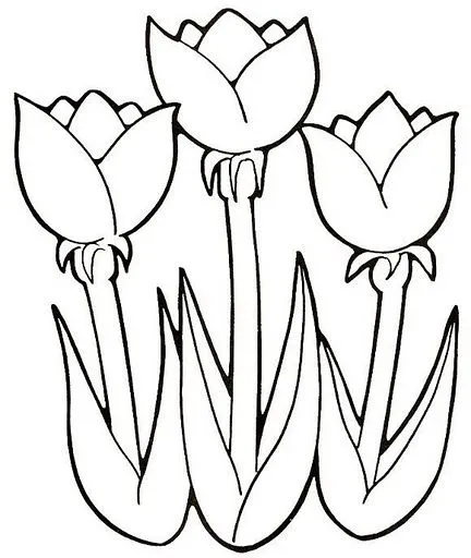 Dibujo de tulipanes para pintar - Imagui