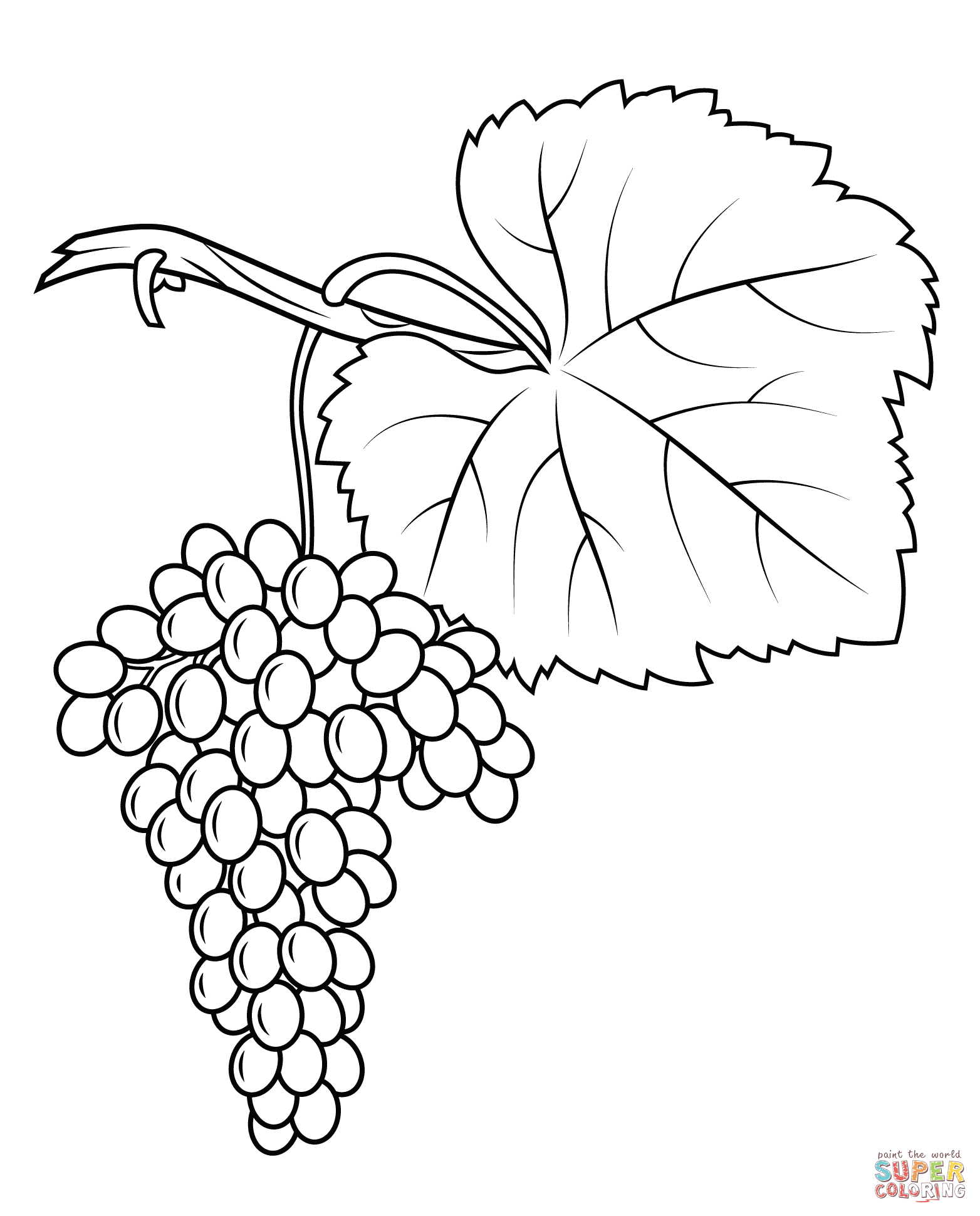 Dibujo de Uvas Fiano para colorear | Dibujos para colorear imprimir gratis