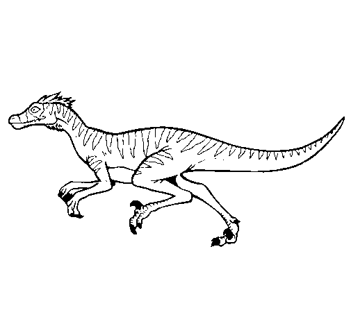 Dibujo de Velociraptor para Colorear - Dibujos.net