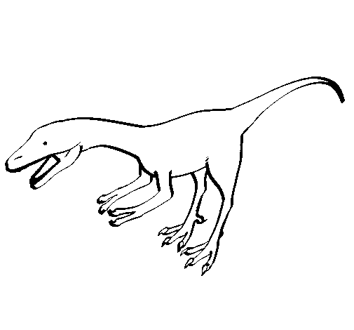 Dibujo de Velociraptor II 1 para Colorear - Dibujos.net