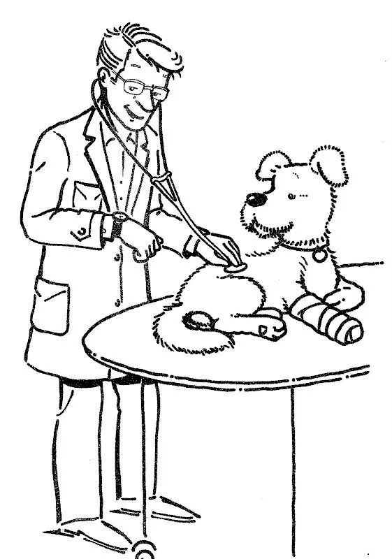 Dibujo de veterinaria para colorear - Imagui