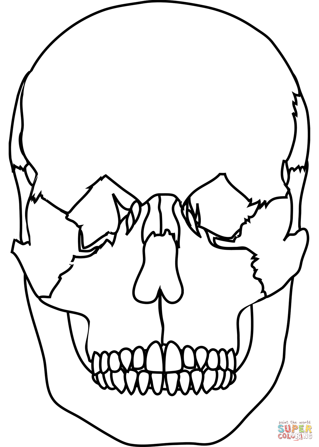 Dibujo de Vista frontal del cráneo humano para colorear | Dibujos para  colorear imprimir gratis