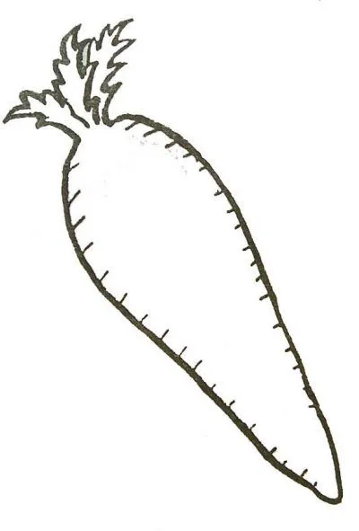 Dibujo de Zanahorias. Dibujo para colorear de Zanahorias. Dibujos ...