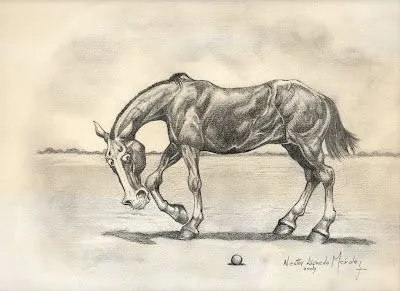 dibujo,caricatura de un caballo de polo..