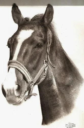 Dibujo/retrato Cabezas De Caballo A Lapiz A Pedido