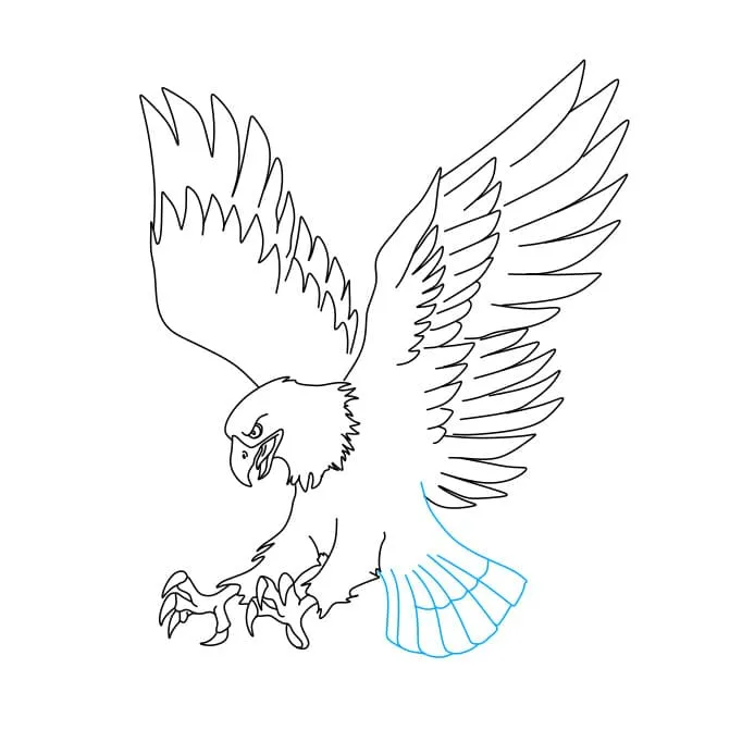 Dibujos de Águila - Cómo dibujar Águila paso a paso