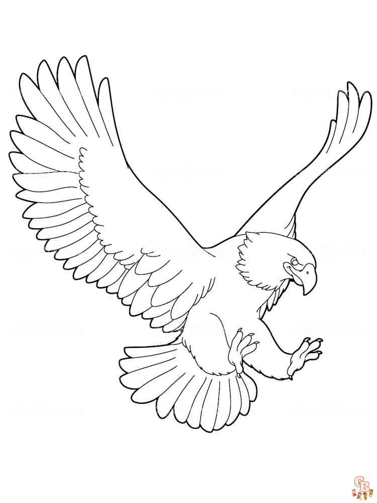 Dibujos de águilas para colorear para niños