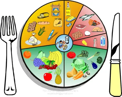 Dibujos de alimentacion balanceada para colorear - Imagui