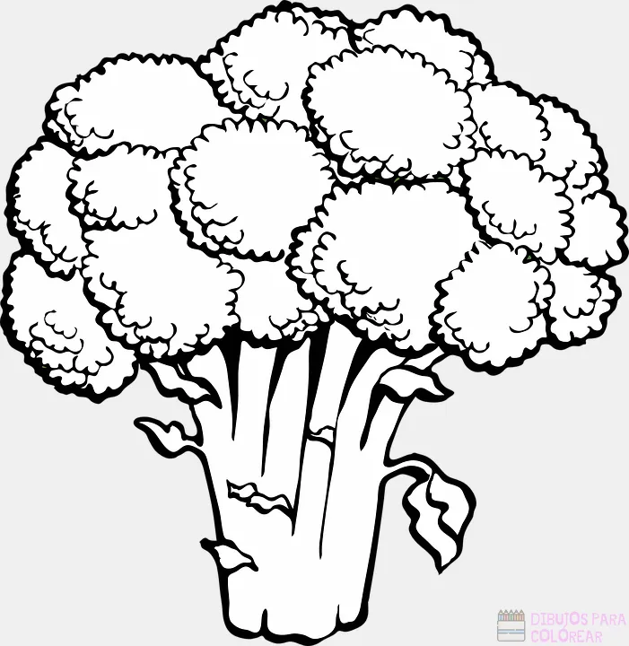 ᐈ Dibujos de Alimentos【TOP 30】Un delicioso boceto – Dibujos para Colorear