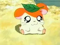 Dibujos Animados: Hamtaro