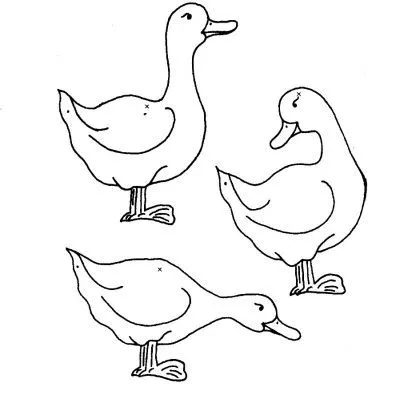  ... de Patos. Dibujo para colorear de Patos. Dibujos infantiles de Patos