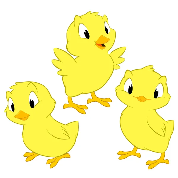 Dibujos animados de pollos — Vector stock © mumut #42857777