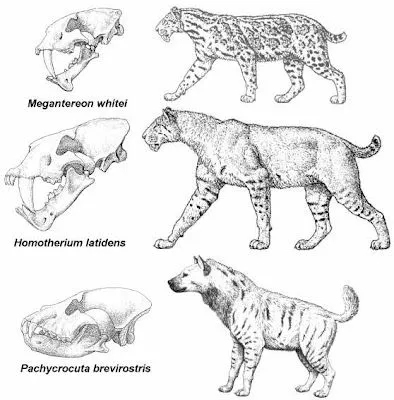 Dibujos animales carnivoros - Imagui