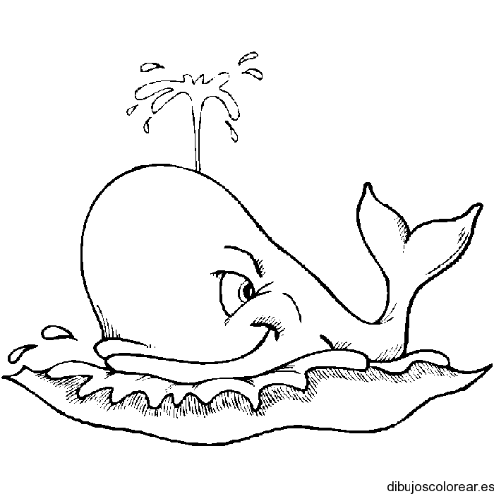 Ballenas | Dibujos para Colorear