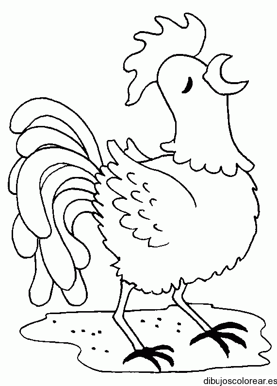 Dibujos de Animales | Dibujos para Colorear