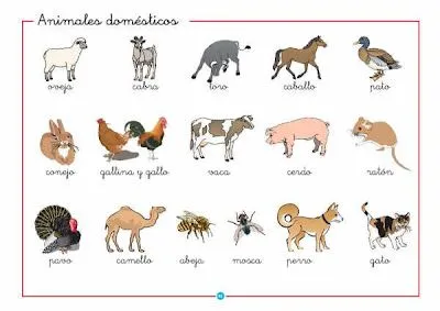 Dibujos de animales domesticos y salvajes para pintar - Imagui