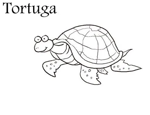 Dibujos de animales de Galápagos para colorear - Imagui