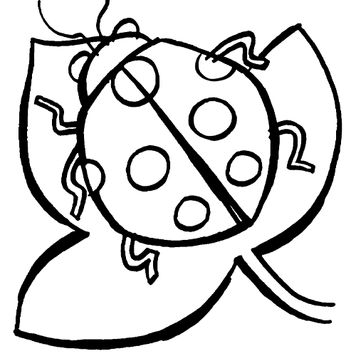 Dibujos animales invertebrado para colorear - Imagui