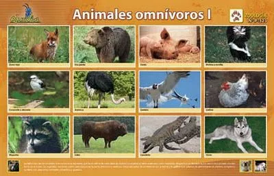 Dibujos de los animales herbivoros - Imagui