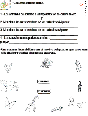 Dibujos de animales oviparos para colorear - Imagui