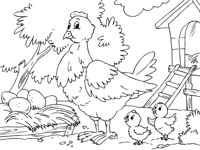 Imagenes de gallinas y pollitos para colorear - Imagui