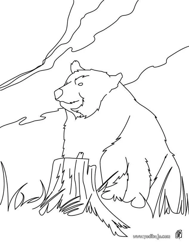 Dibujos ANIMALES DE LA SELVA para colorear, Oso Kodiak para imprimir