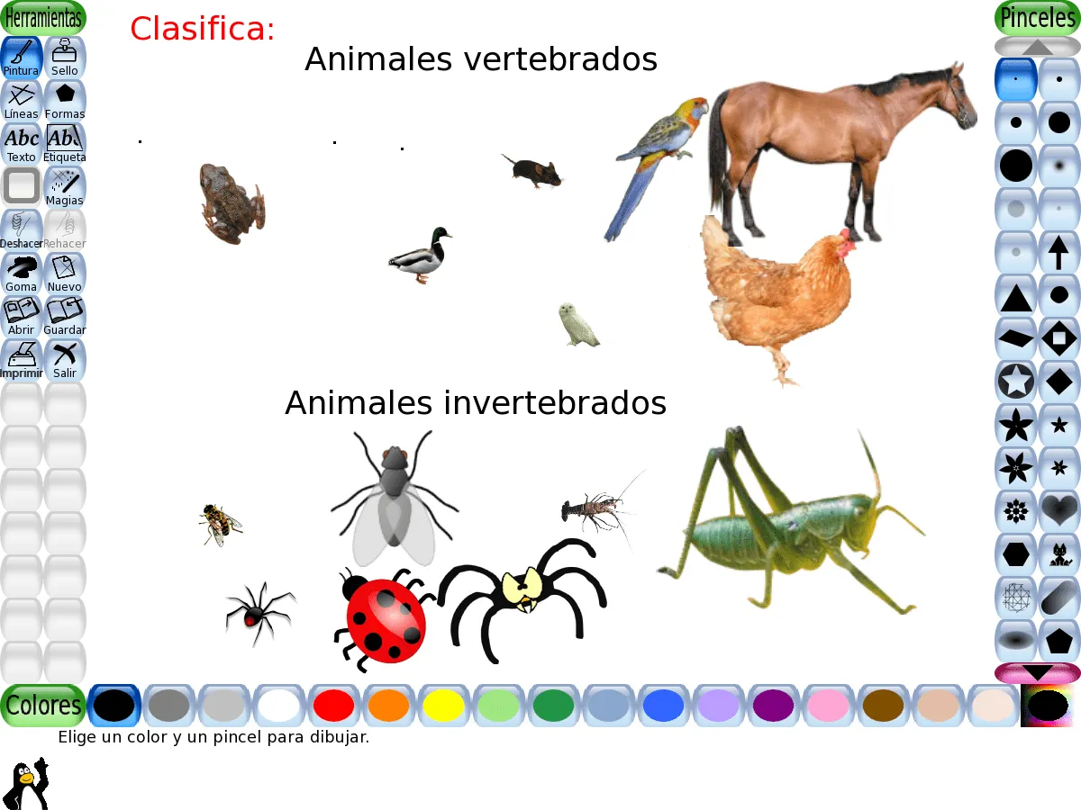 Dibujos de animales vertebrados - Imagui