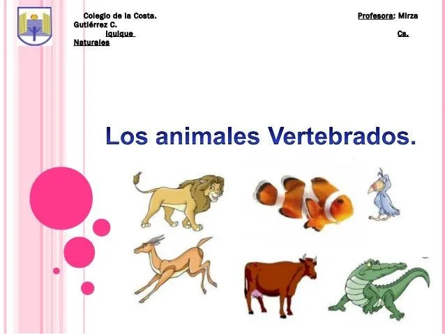 Dibujos de 3 animales vertebrados - Imagui