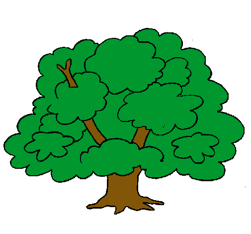 Dibujos de Arboles | Dibujos